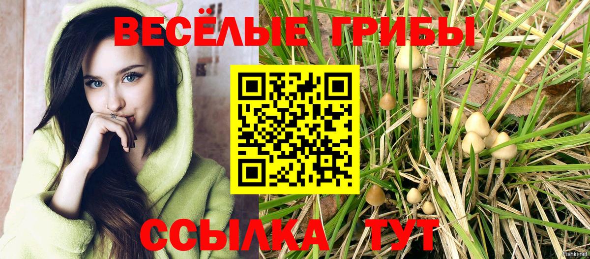 Псилоцибиновые грибы Magic Shrooms  Псилоцибиновые грибы GOLDEN TEACHER  Реутов  Вход с VPN 